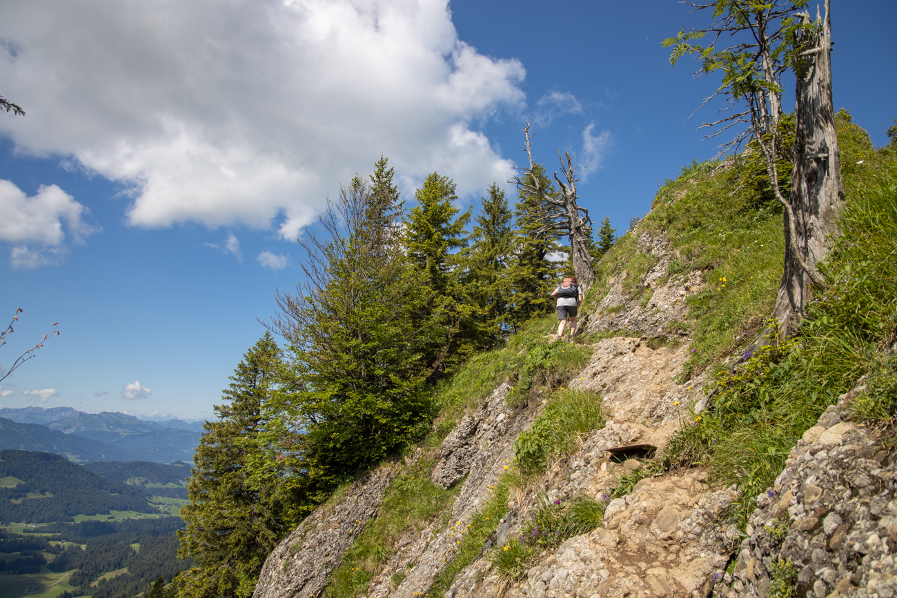 Blechstufen helfen beim Aufstieg