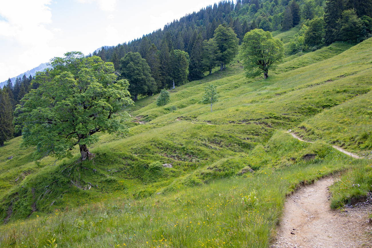 Nach der Pause laufen wir ins Tal hinab