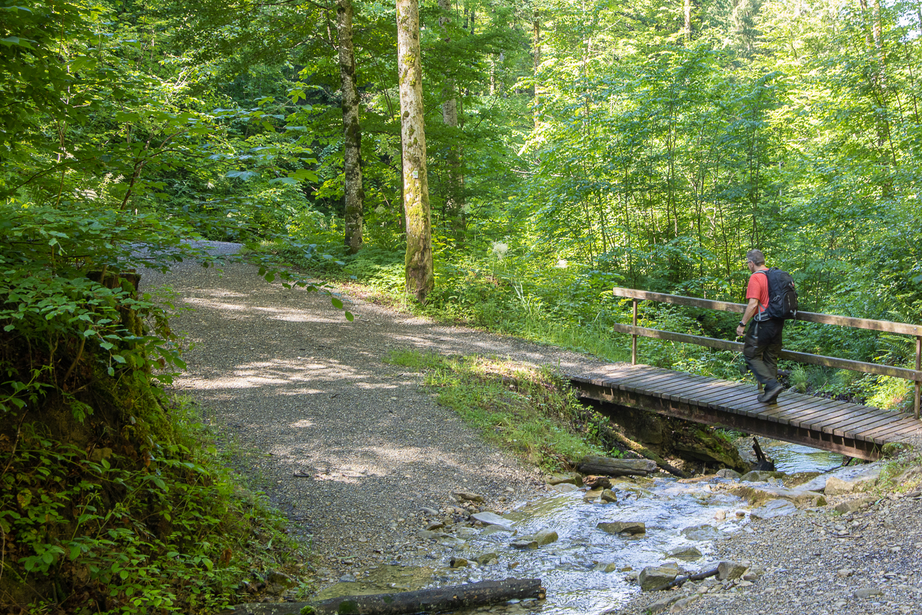 Nassen F&uuml;&szlig;en aus dem Weg gegangen ;-)