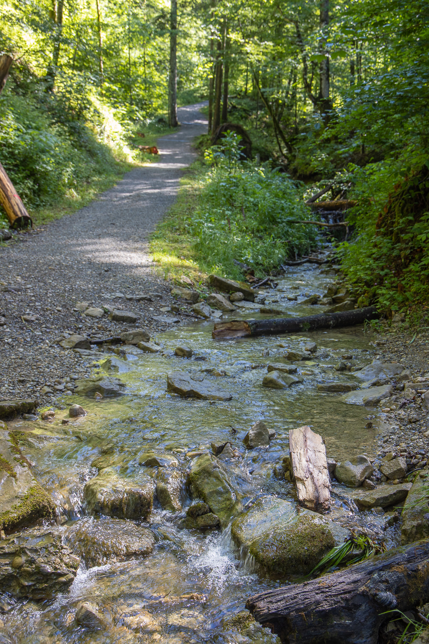 Der n&auml;chste Bach muss aber durchquert werden