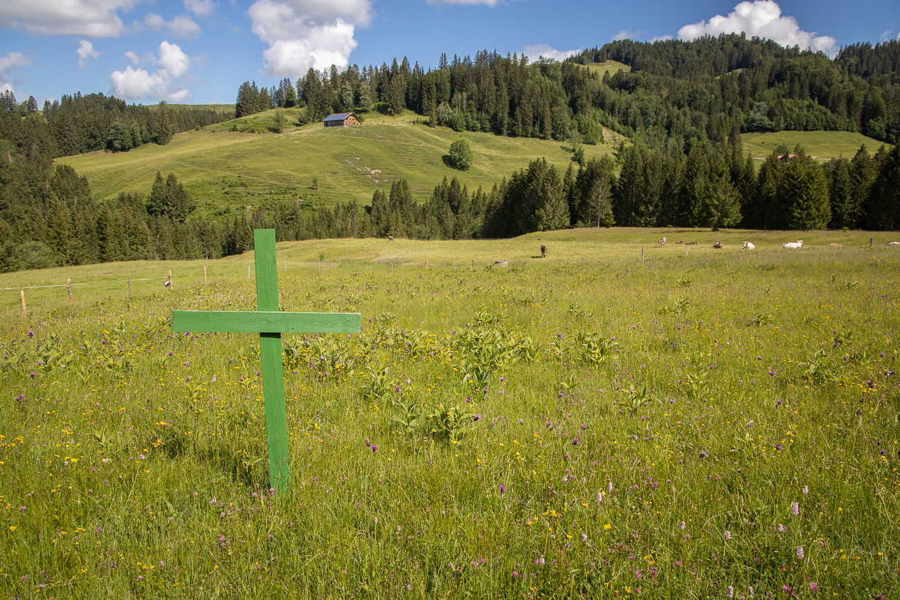Die allgegenwärtigen "Grünen Kreuze" mahnen gegen steigende Auflagenflut, überzogene Bürokratie, Dumpingpreise für Essen, ungebremsten Flächenverbrauch, unfaire Handelspolitik usw.