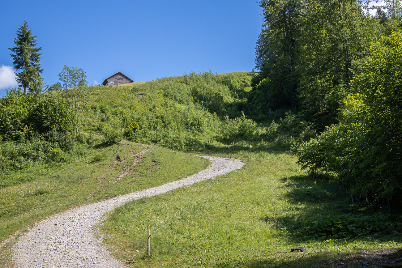 Der Weg ist steiler als er aussieht