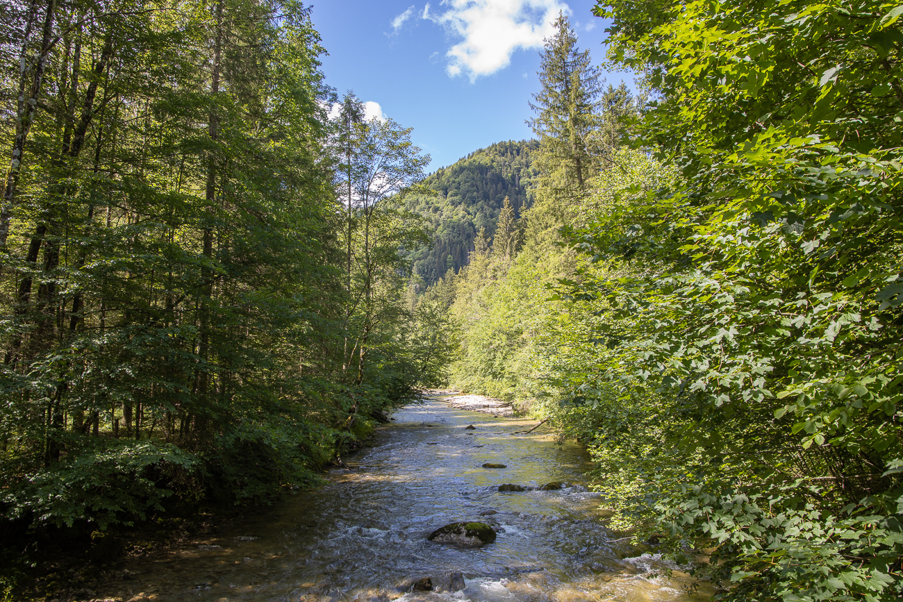 Das Fl&uuml;sschen Wei&szlig;ach ...