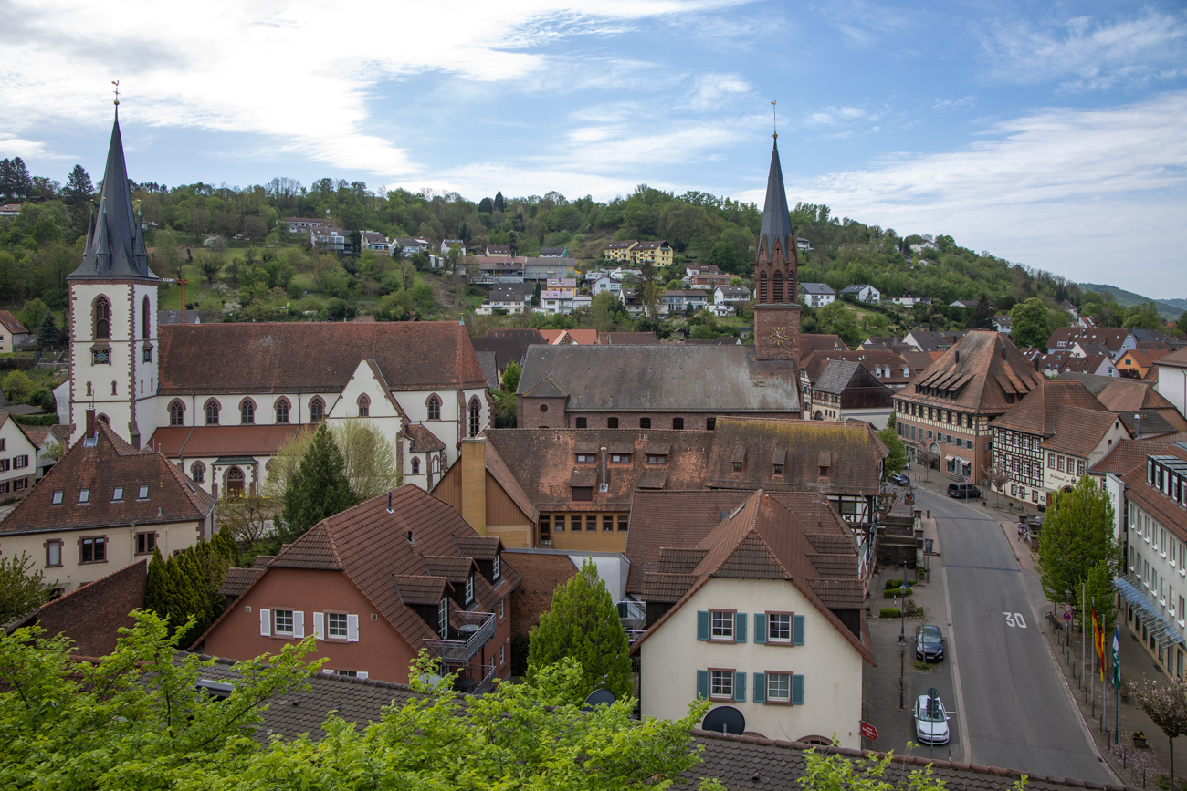 Blick vom Wartturm auf Weingarten