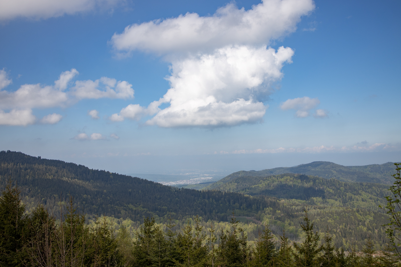 Blick ins Rheintal
