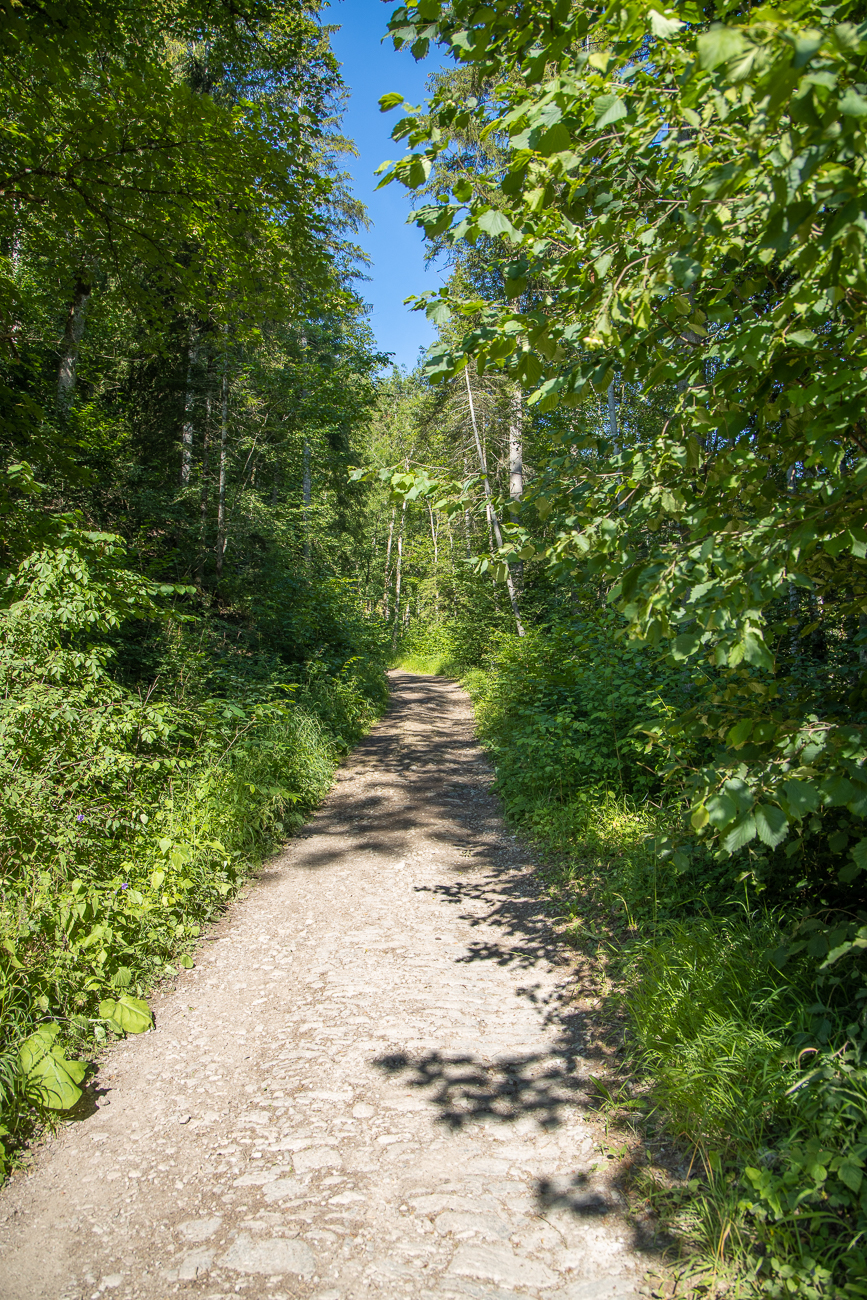 Auf dem Weg in die Schlucht