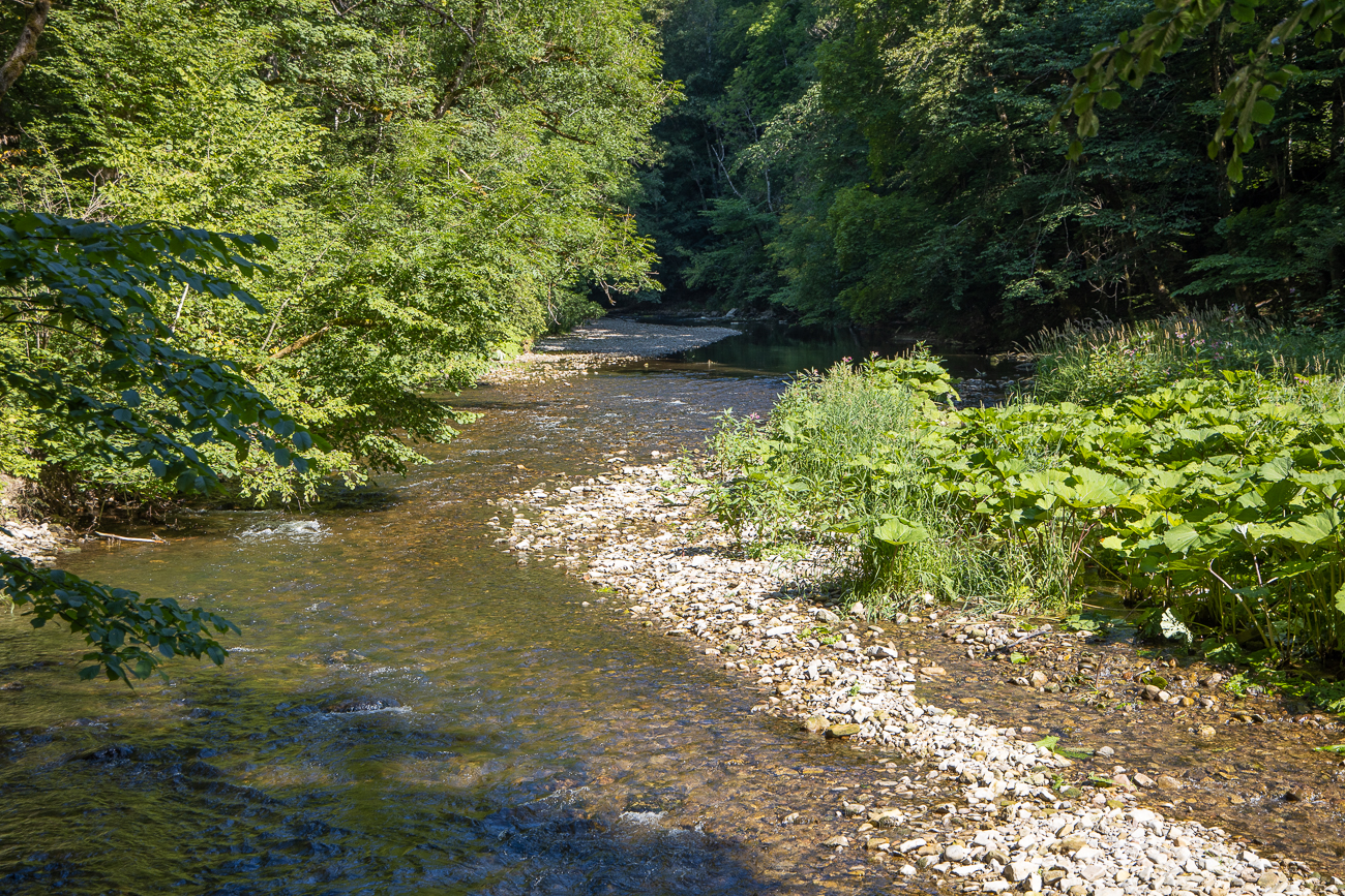 Die Wutach