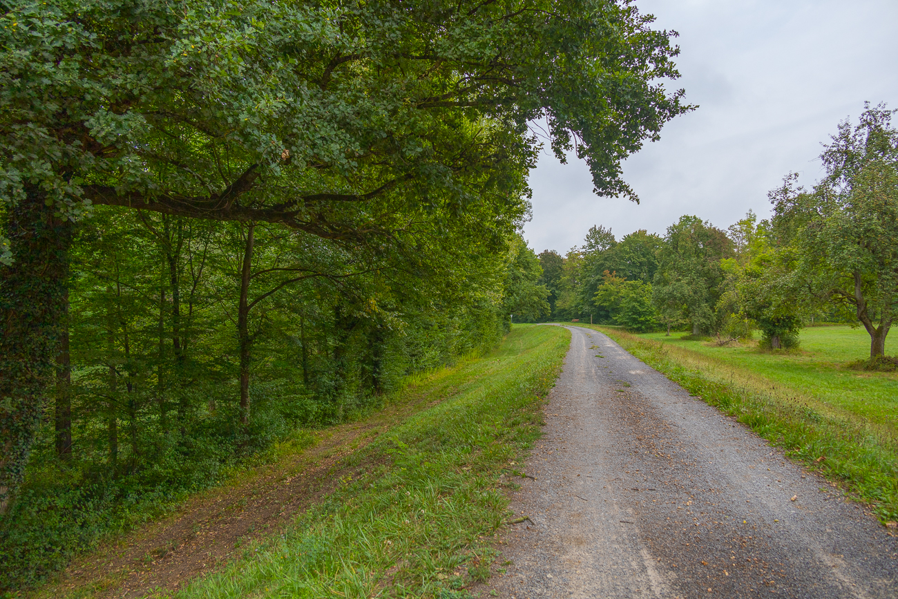 Wanderweg auf dem Rheindamm