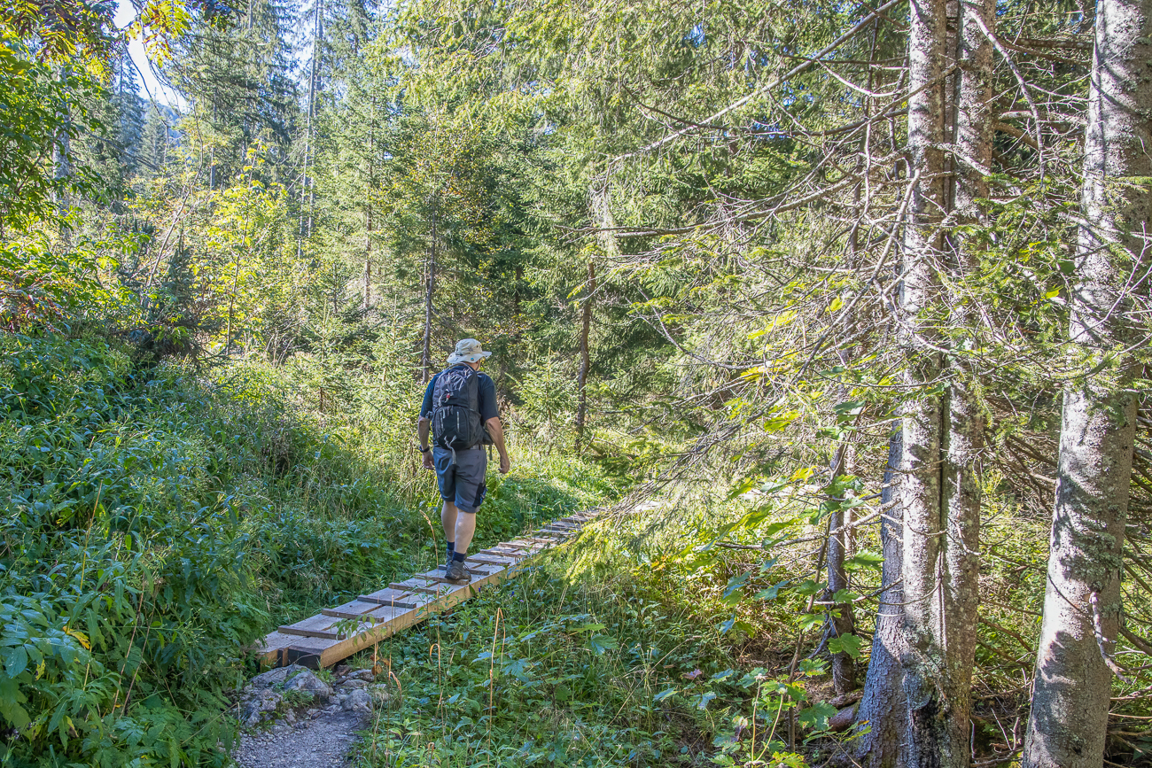 Sumpfige Stellen werden auf Holzstegen &uuml;berquert