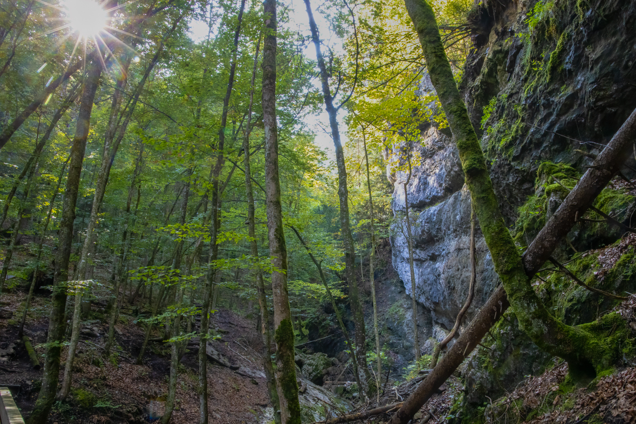 In der Klausenbachklamm ...