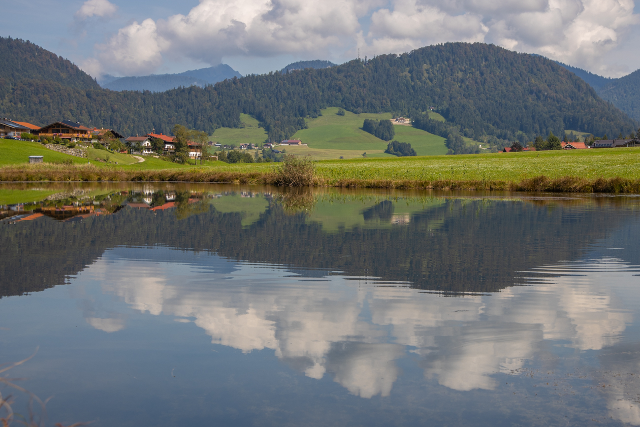Da war es am folgenden Teich am Wegesrand viel interessanter ;-)
