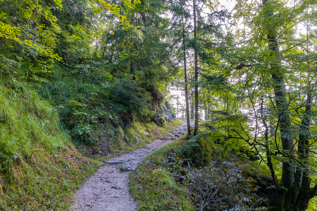 Auf dem Pfad nach oben