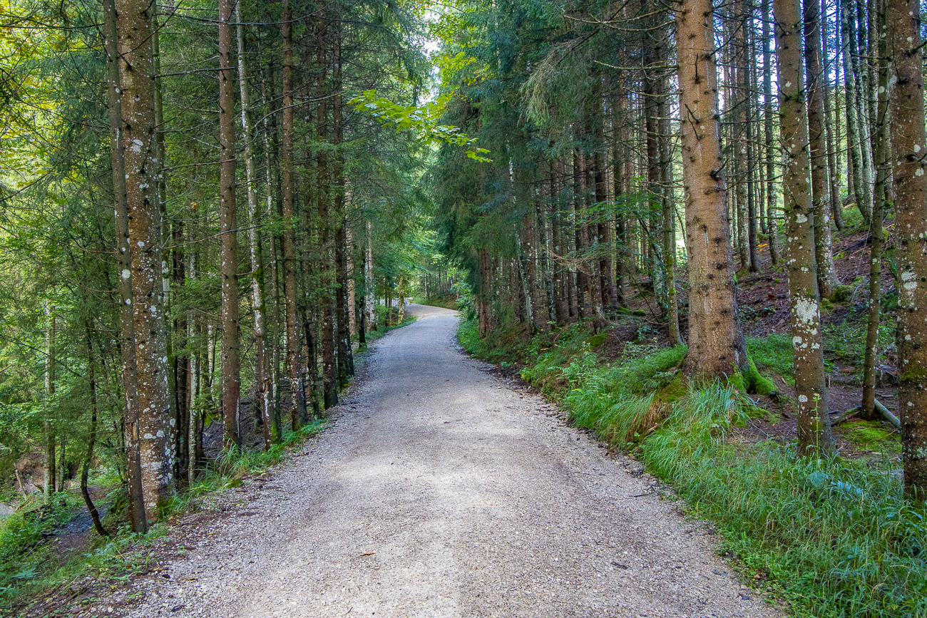 Nun geht es auf einem breiten Waldweg weiter