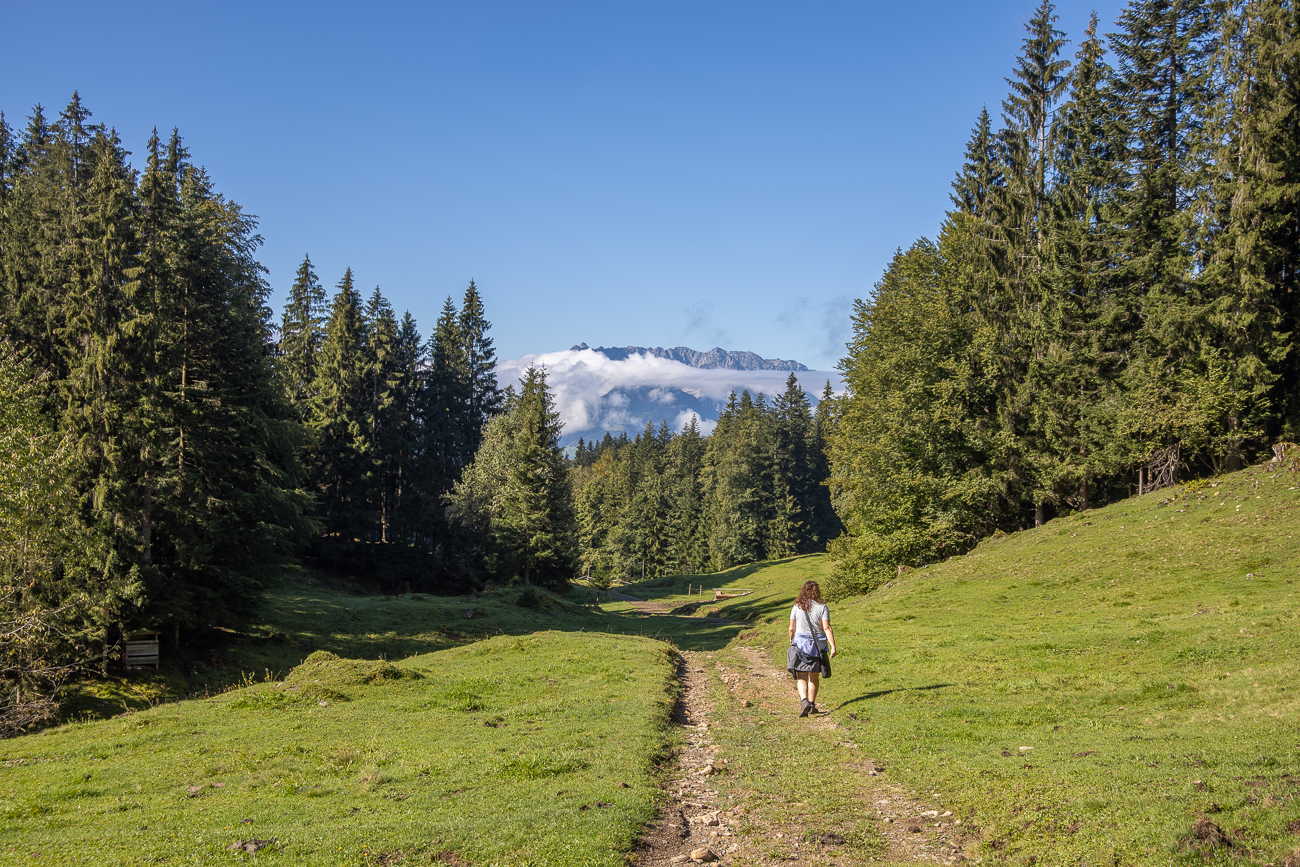 Schöner Weg - nachdem wir an den Kühen vorbei waren ;-)