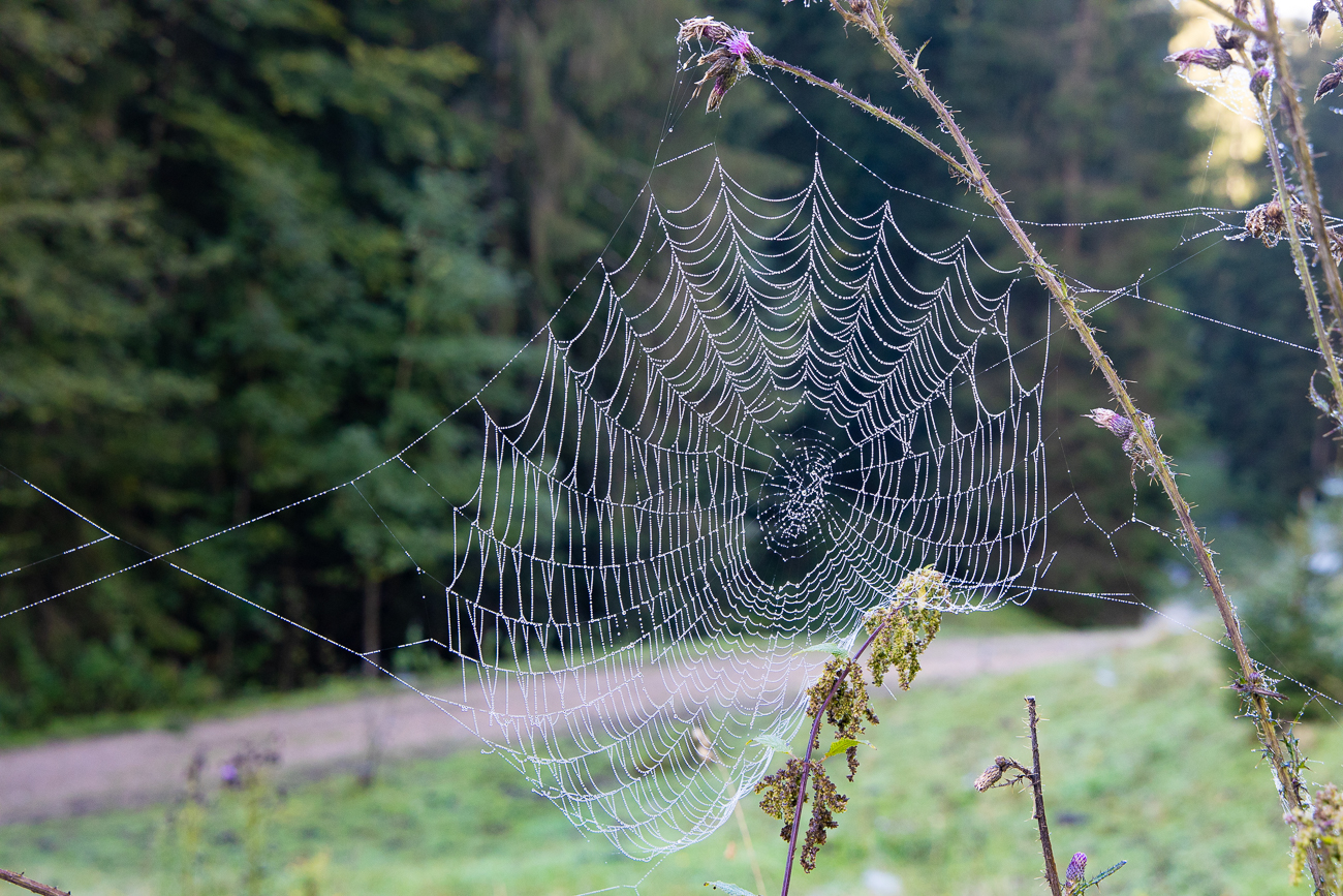 Nochmal etwas gr&ouml;&szlig;er