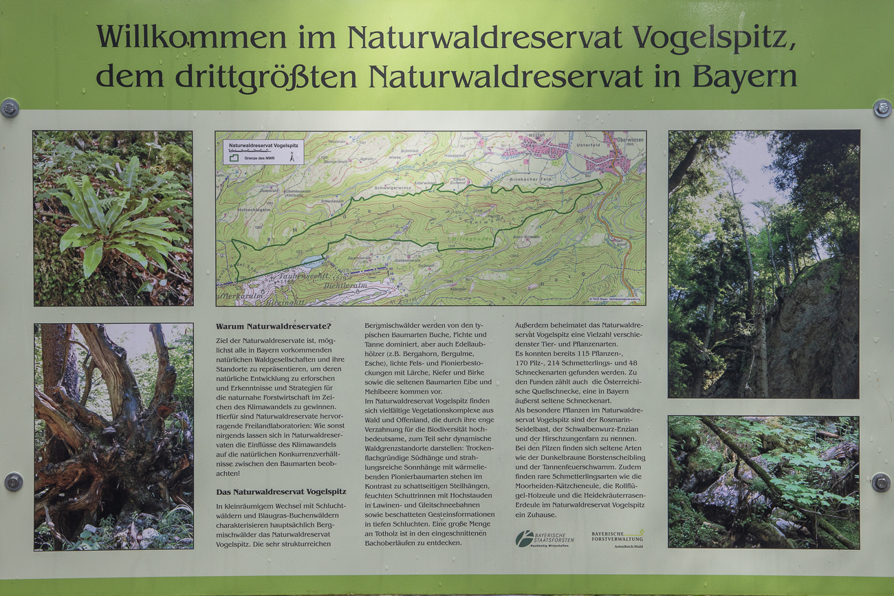 Waldweg auf der anderen Seite des Weitsees