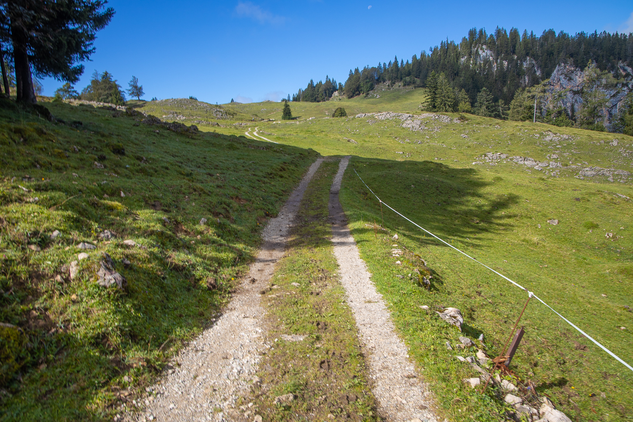 Es geht immer noch bergauf ...