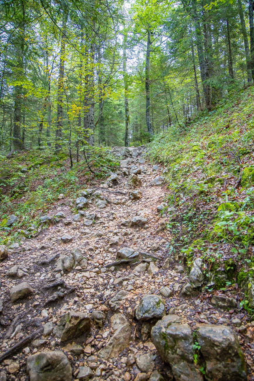 Es geht immer noch bergauf, nun etwas steiniger