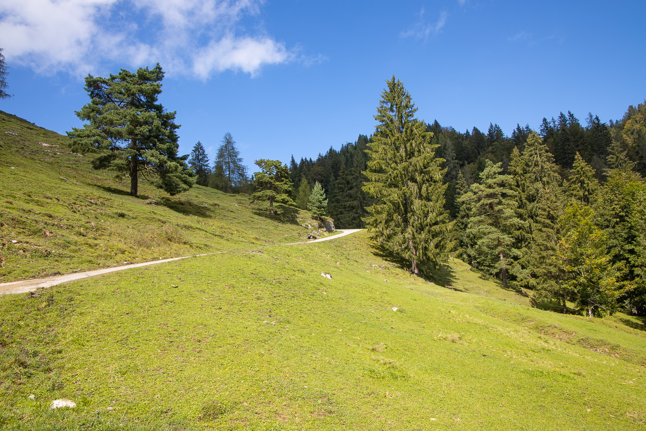 Kurz vor dem Ziel in Reit ...