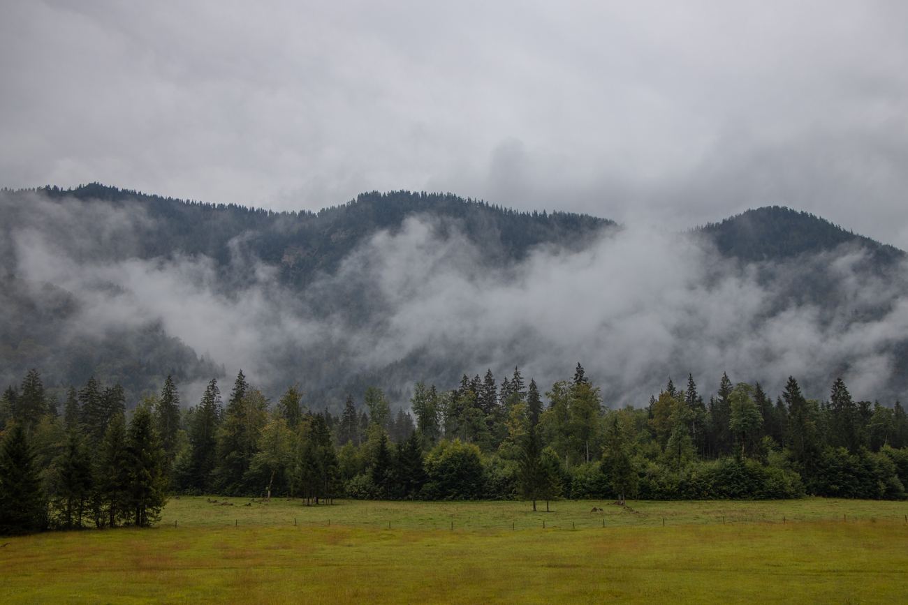 Über die Felder und Weiden ziehen Nebelschwaden