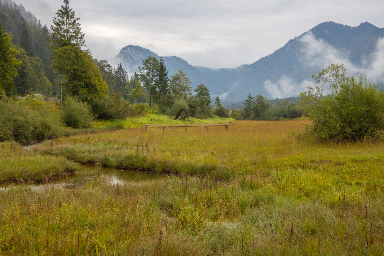 An den Pfeifengraswiesen