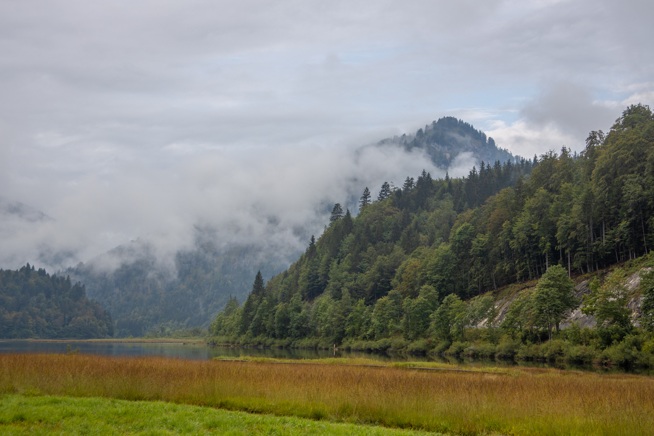 An den Pfeifengraswiesen