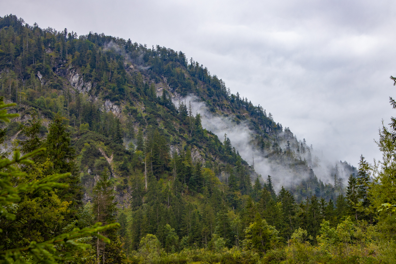 ... ziehen langsam den Berg hinauf