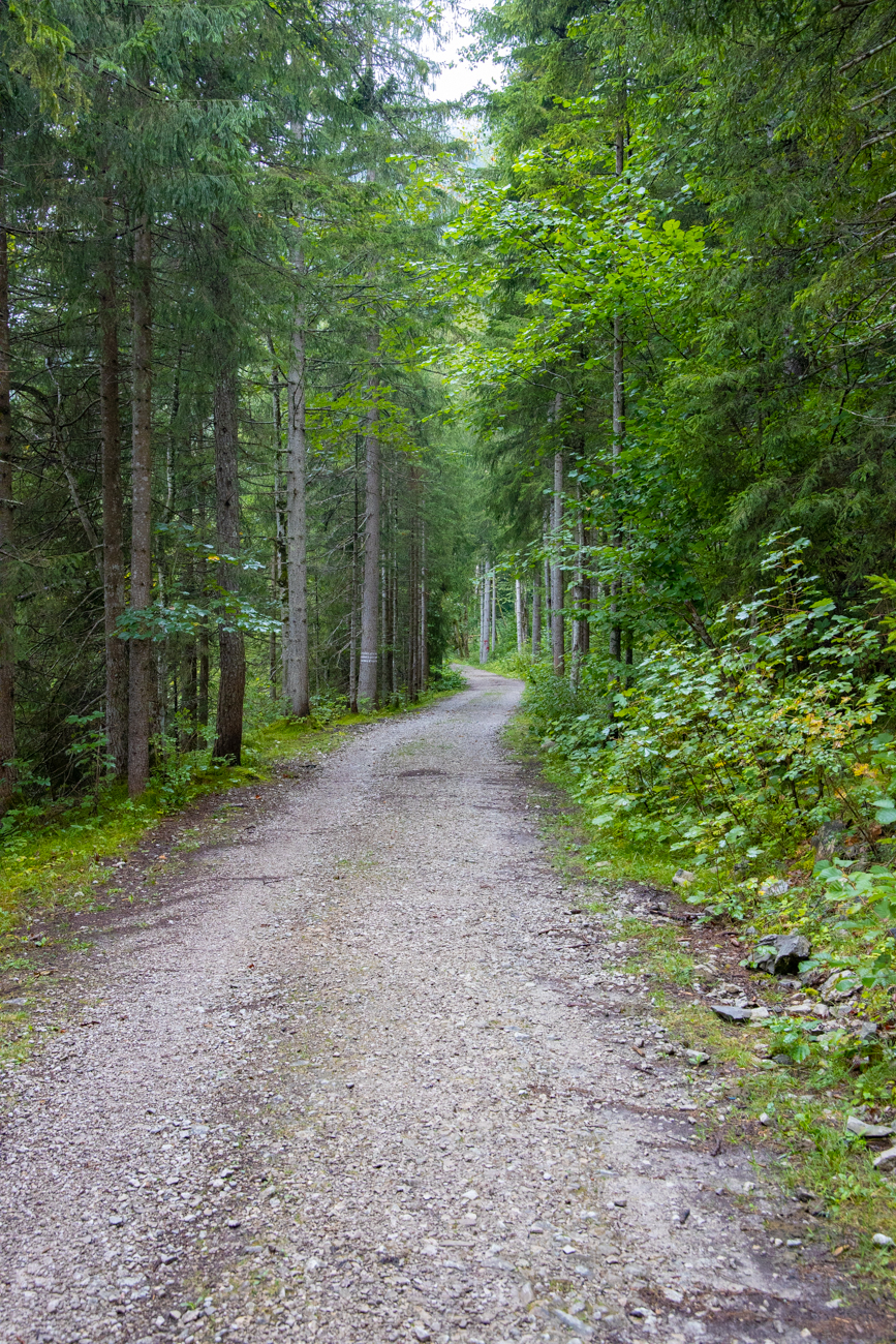 Waldweg auf der anderen Seite des Weitsees