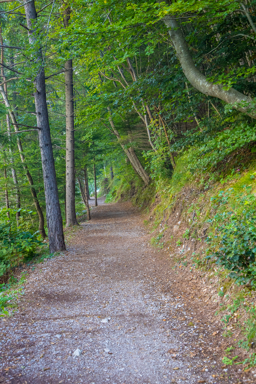 Weg am Ostufer des Sees