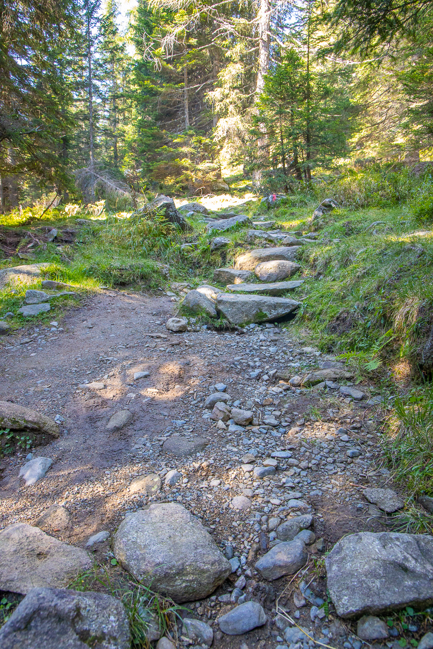 Steiniger Weg in die Höhe des Adamello-Brenta Gebiets
