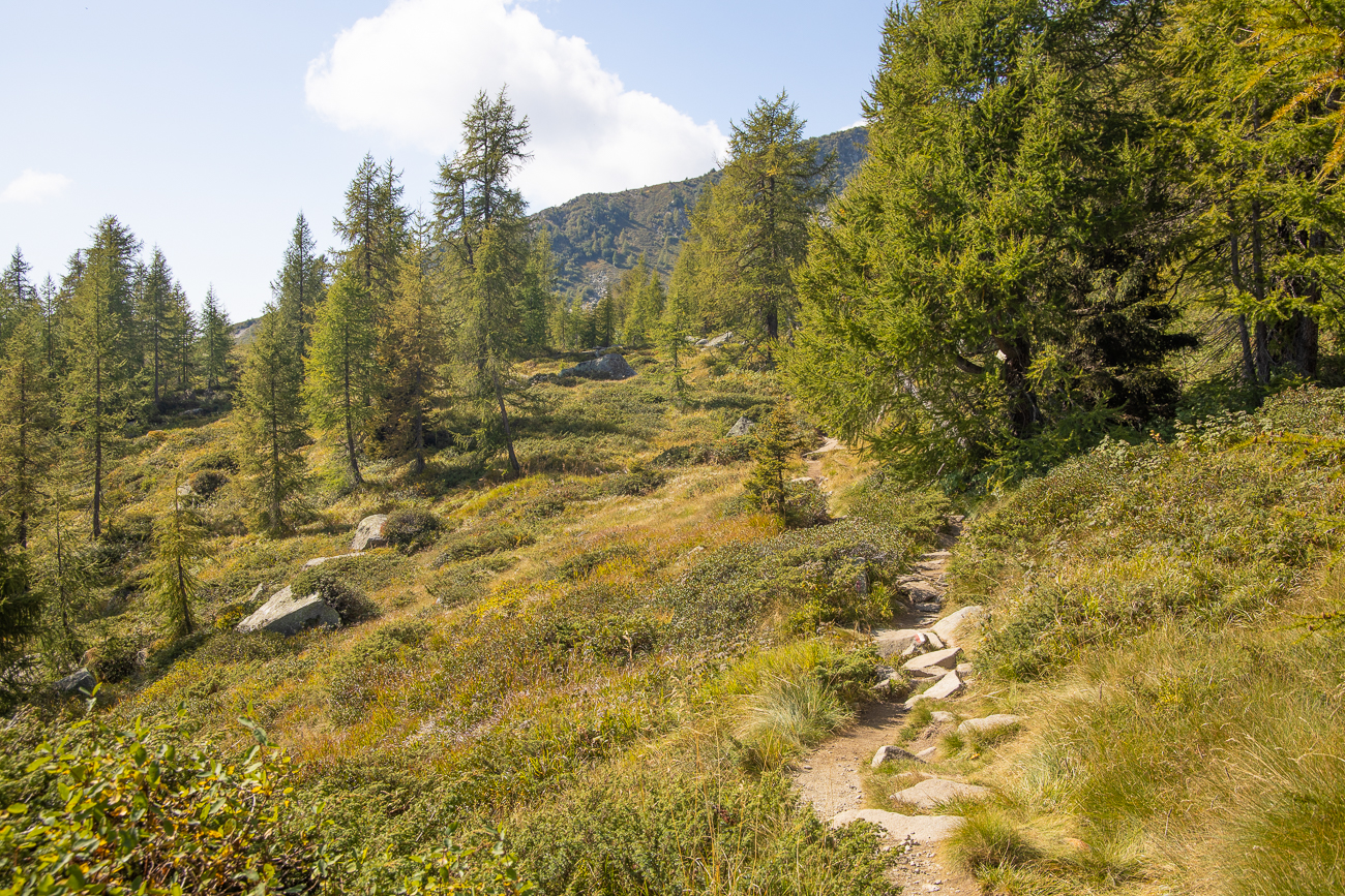 Steinig führt der Weg durch die Hochebene