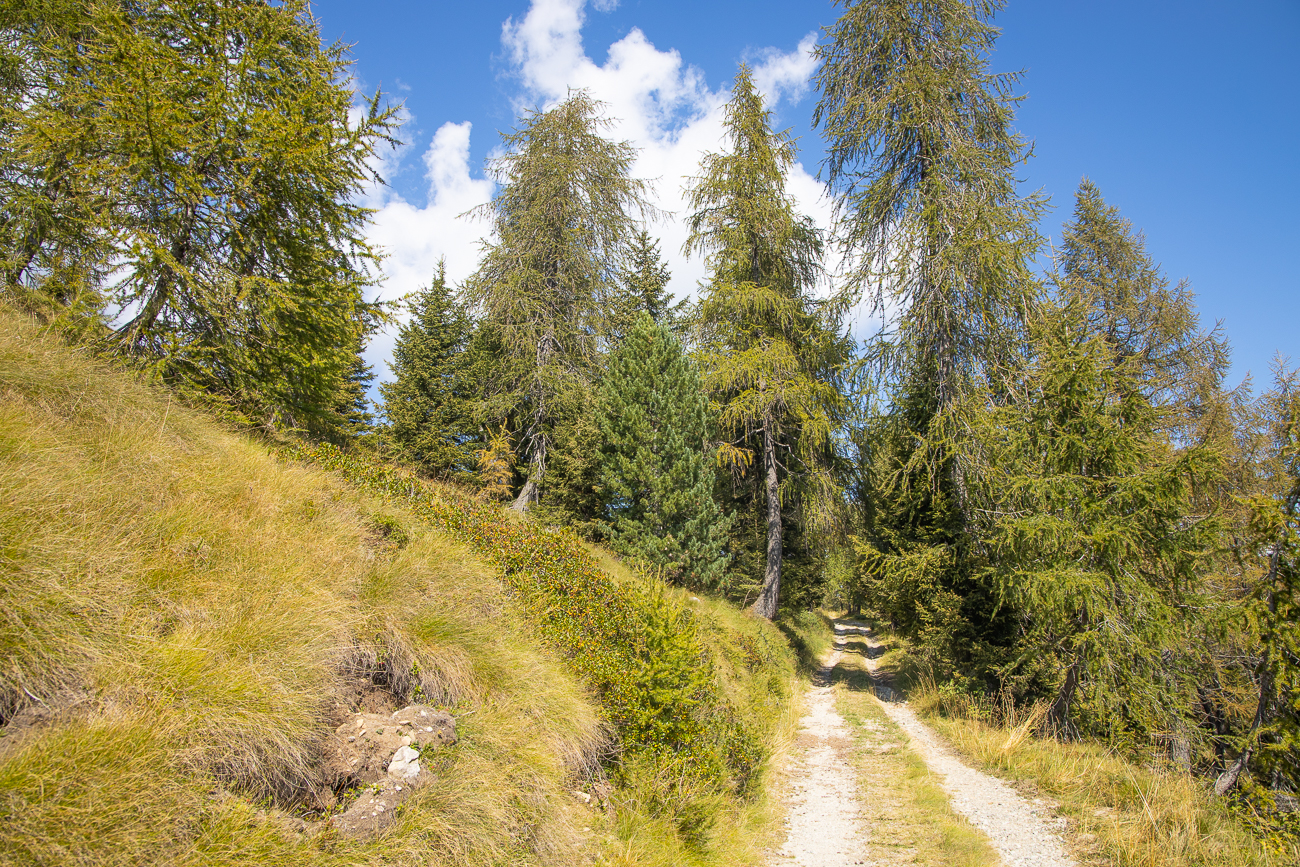 Da der Weg genau am Bären vorbei führt ...