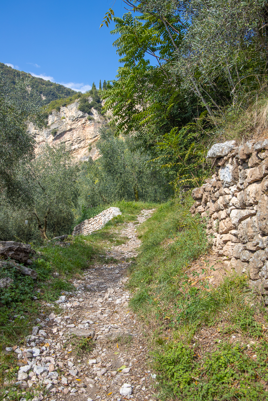 Wieder auf dem Rückweg, geht es steil den Berg hinauf