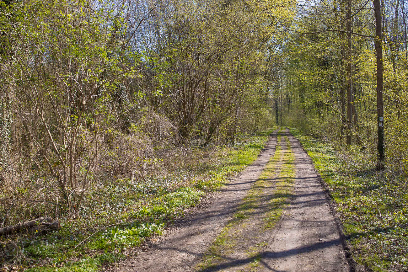 Auf dem Wanderweg