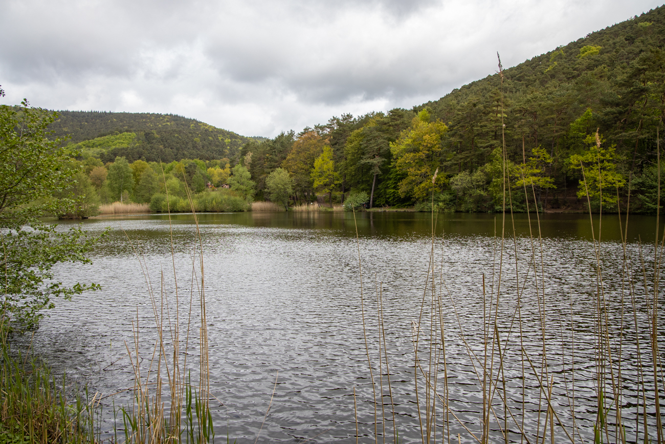Am Sandwiesenweiher