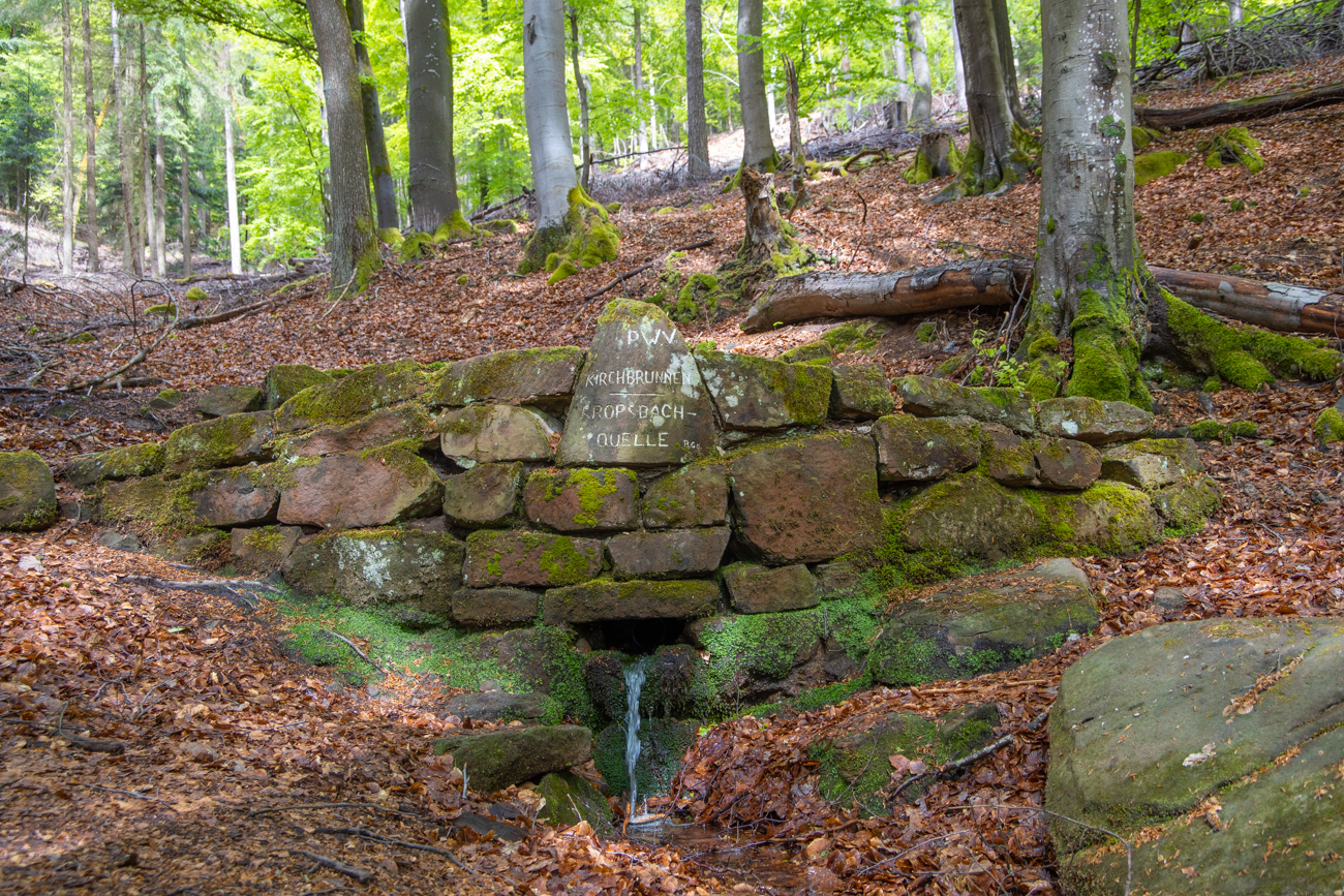 An der Kropsbachquelle