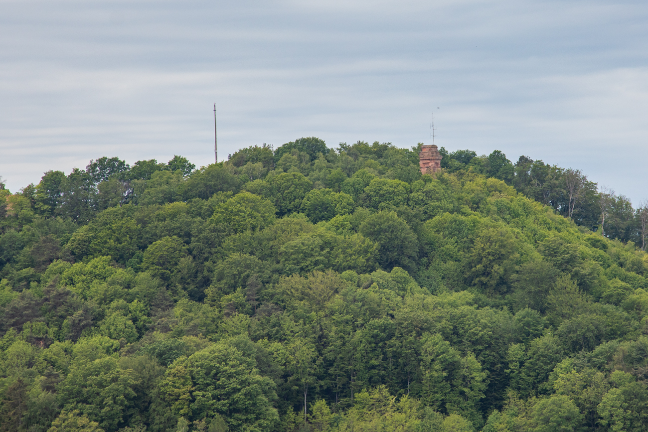 Der Bismarckturm