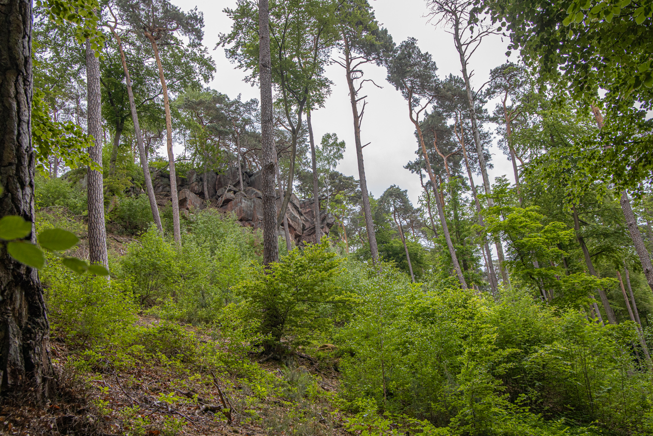An den Heidenfelsen