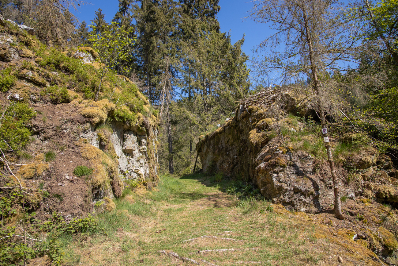 Am "Steinernen Tor"