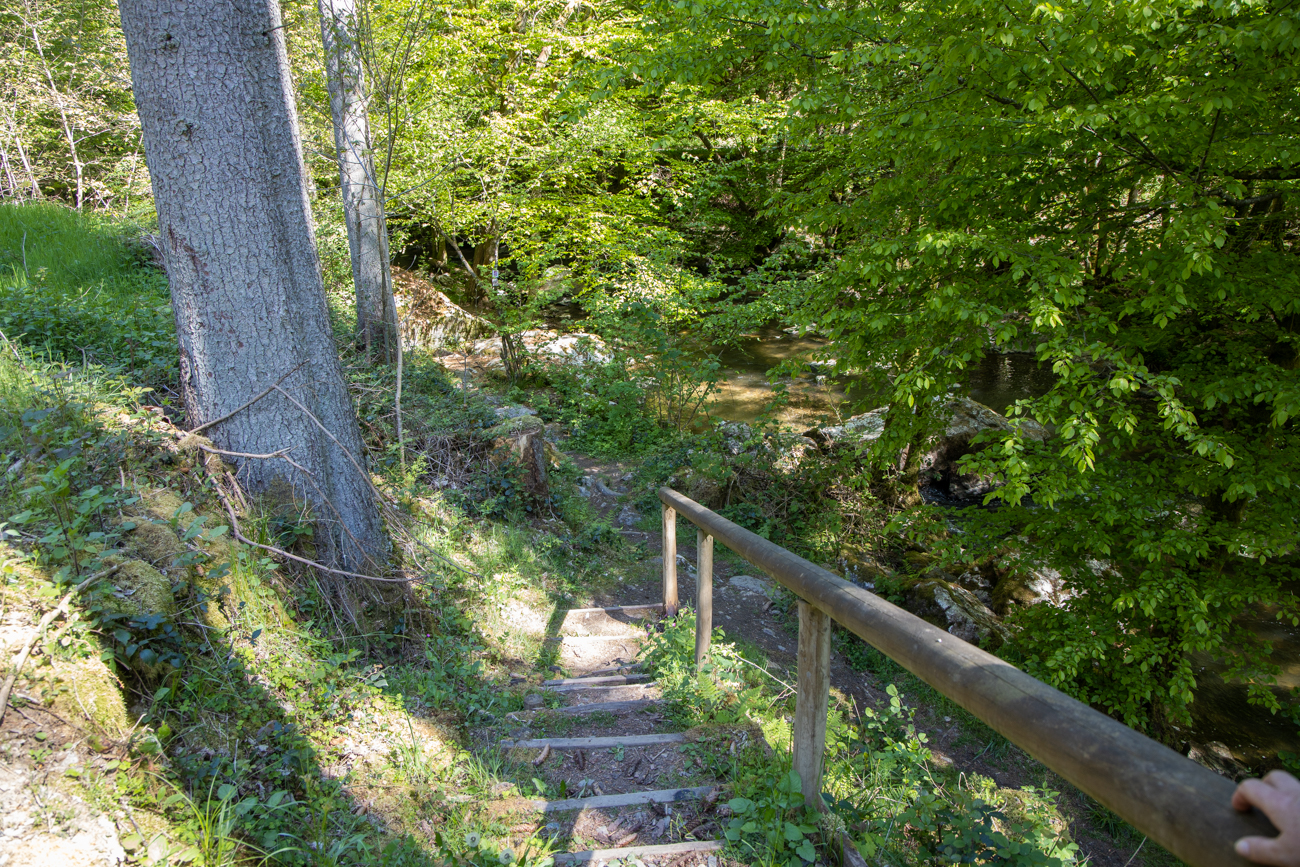 Treppen führen ...