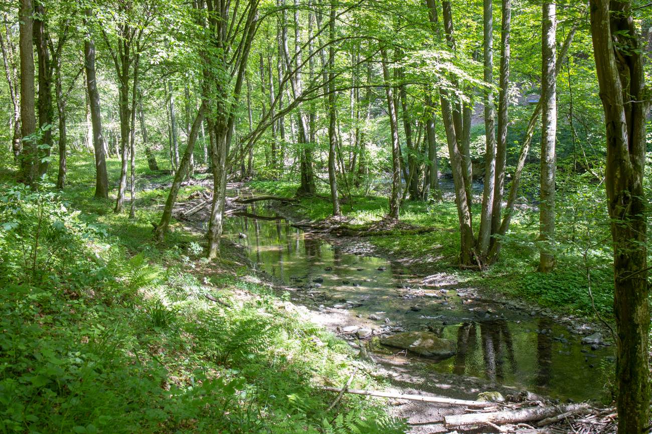 Idyllisches Tal