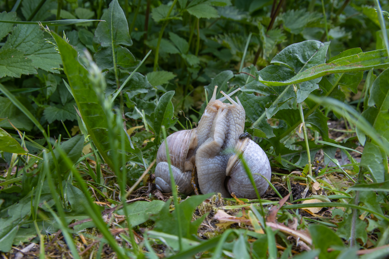 Liebesspiel ;-)