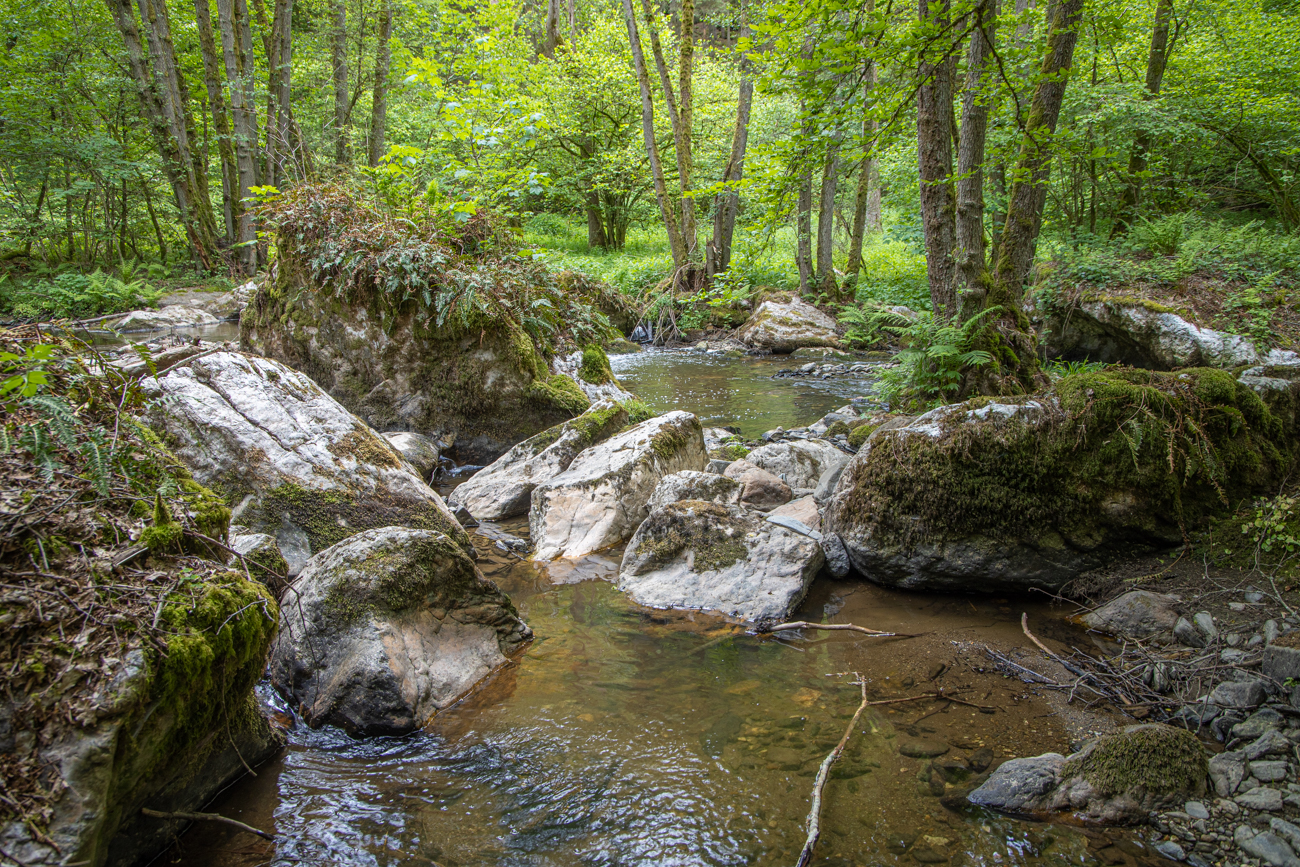 An der Dhron