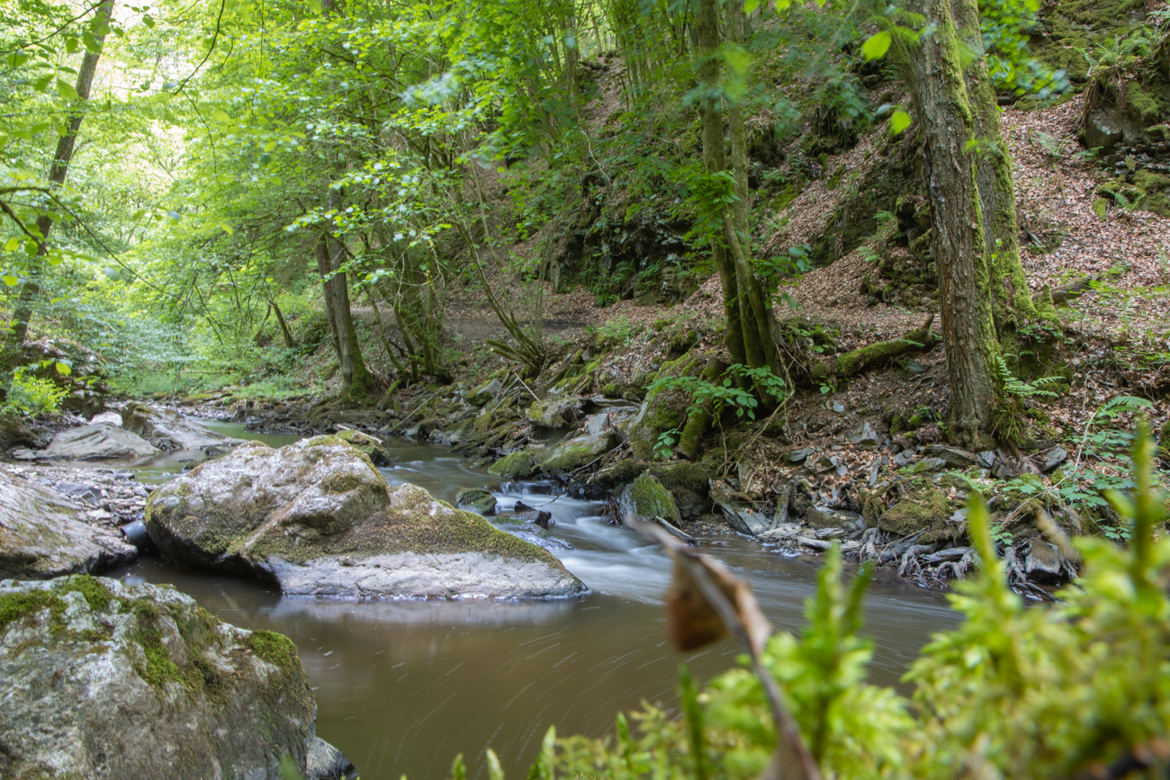 An der Dhron