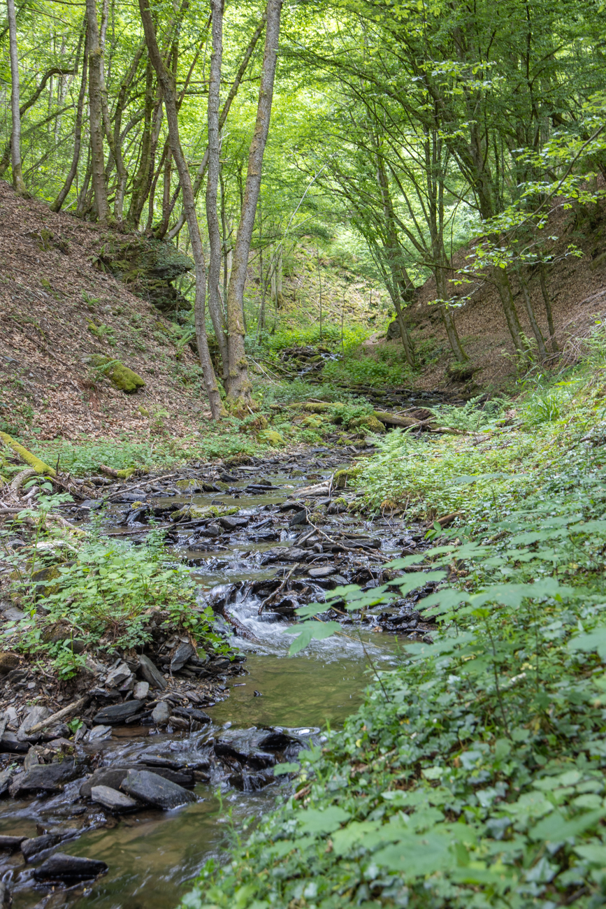 Die Hölzbachklamm