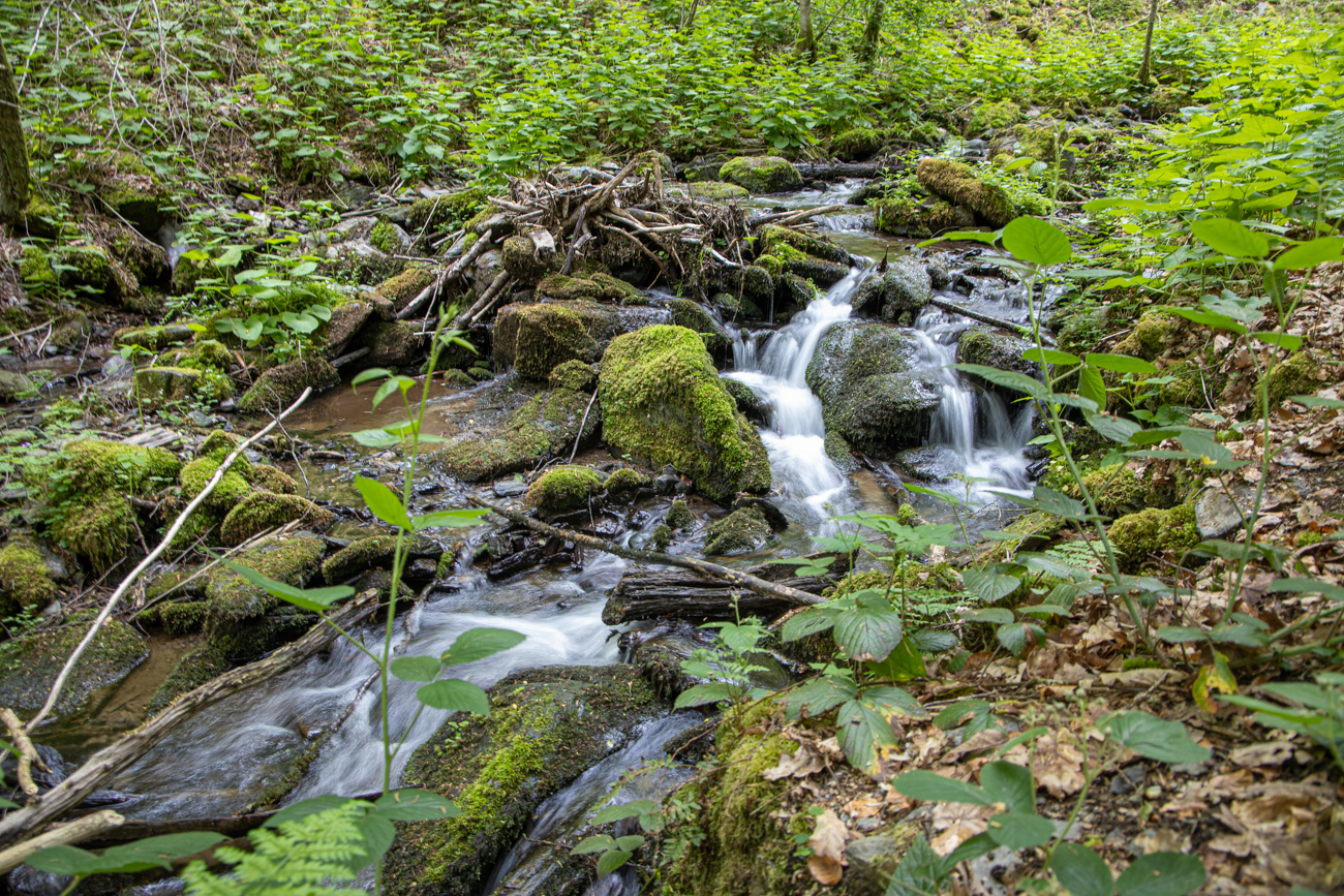 Wasserfällchen