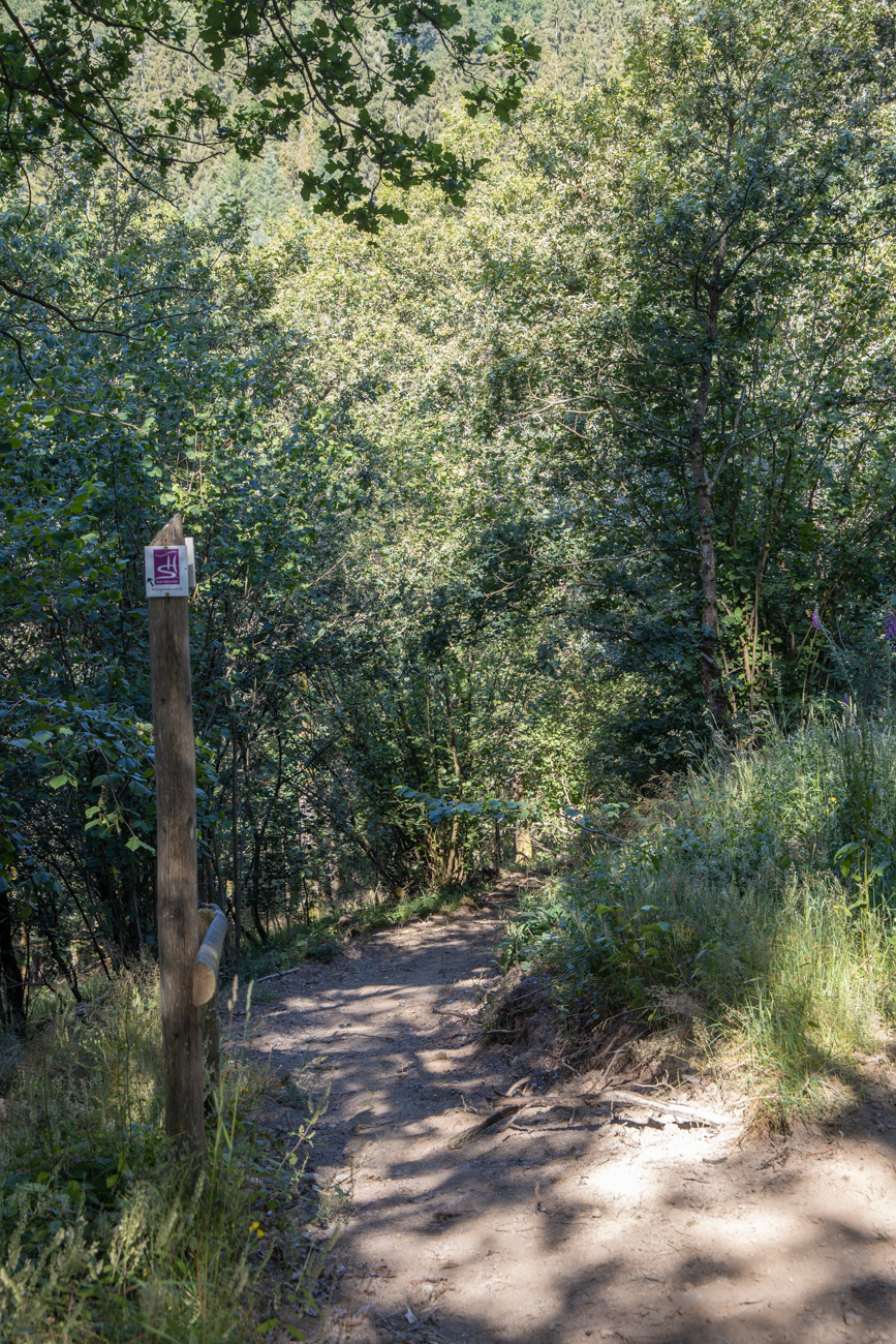 Abstieg ins Tal