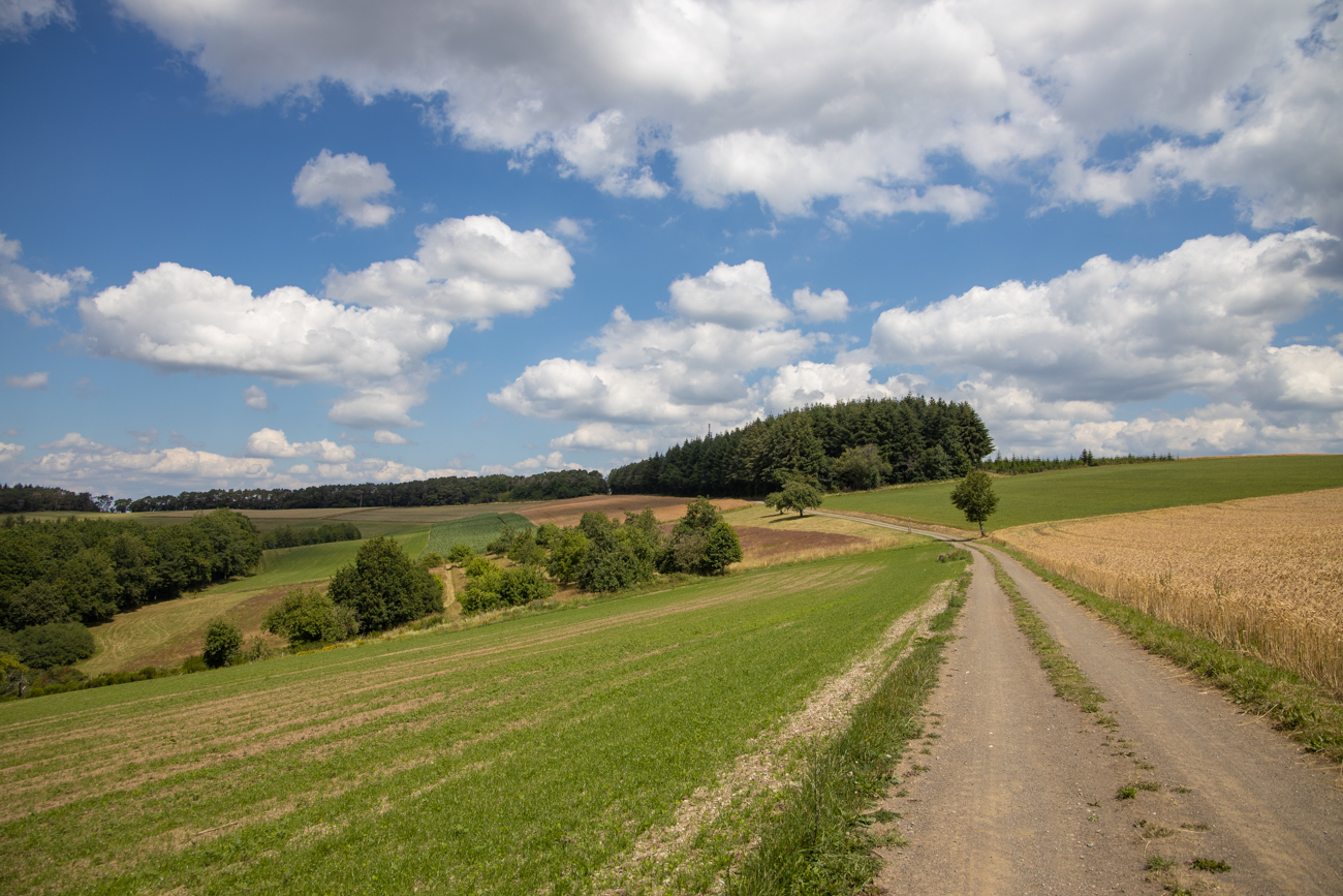 Feldweg ...