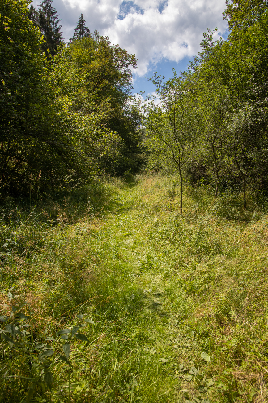 Wiesenweg ...
