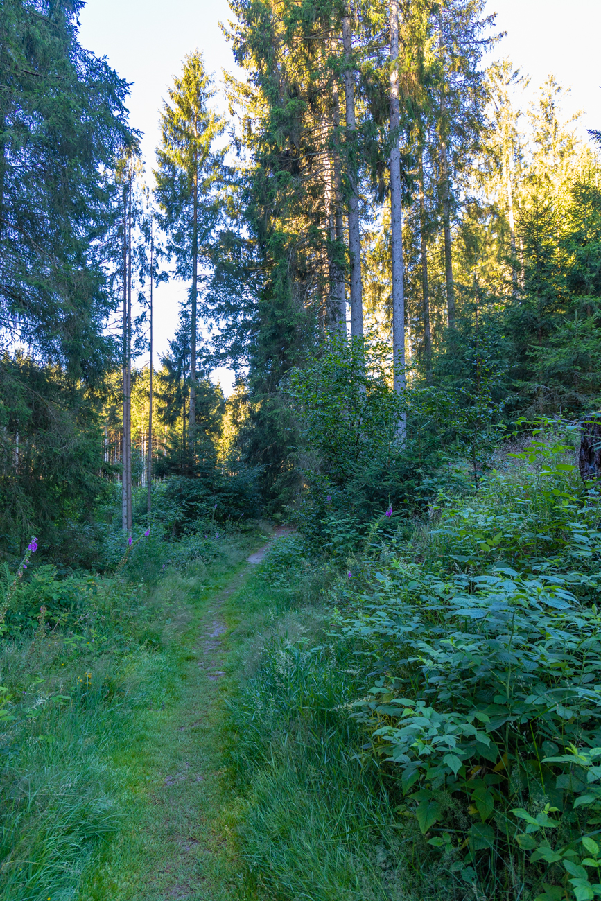 Diverse Wege ...